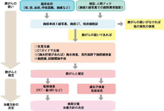 臨床家のための肺血管病変肺生検診断 シリーズ呼吸器外科 4 肺がん① | 呼吸器外科 | 中頭病院