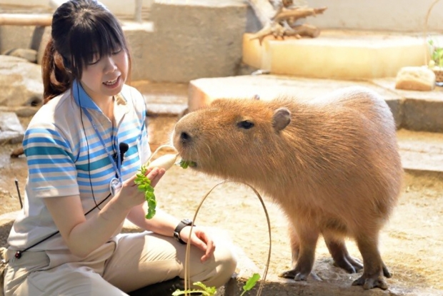 nifrel えさやり